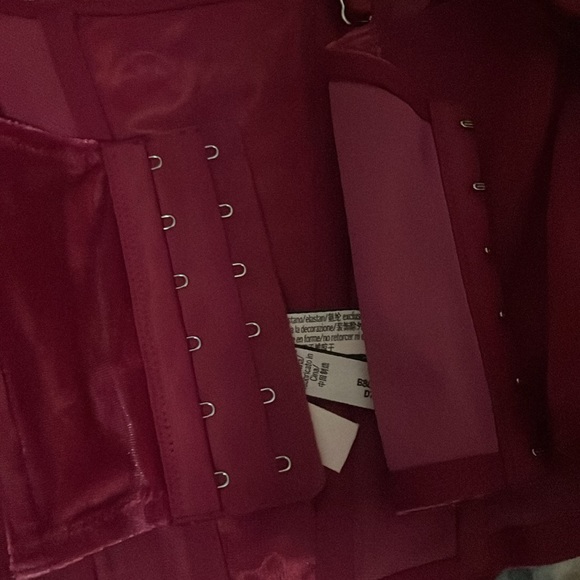 PINK x LoveShackFancy Unlined Lace-Up Corset Top - Picture 10 of 16